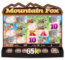 65k bet